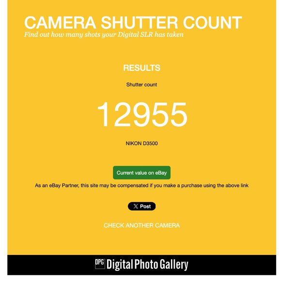 Nikon D3500 24.2MP DSLR Camera / With AF-P DX NIKKOR 18–55mm f/3.5–5.6G VR Lens - Picture 11 of 11